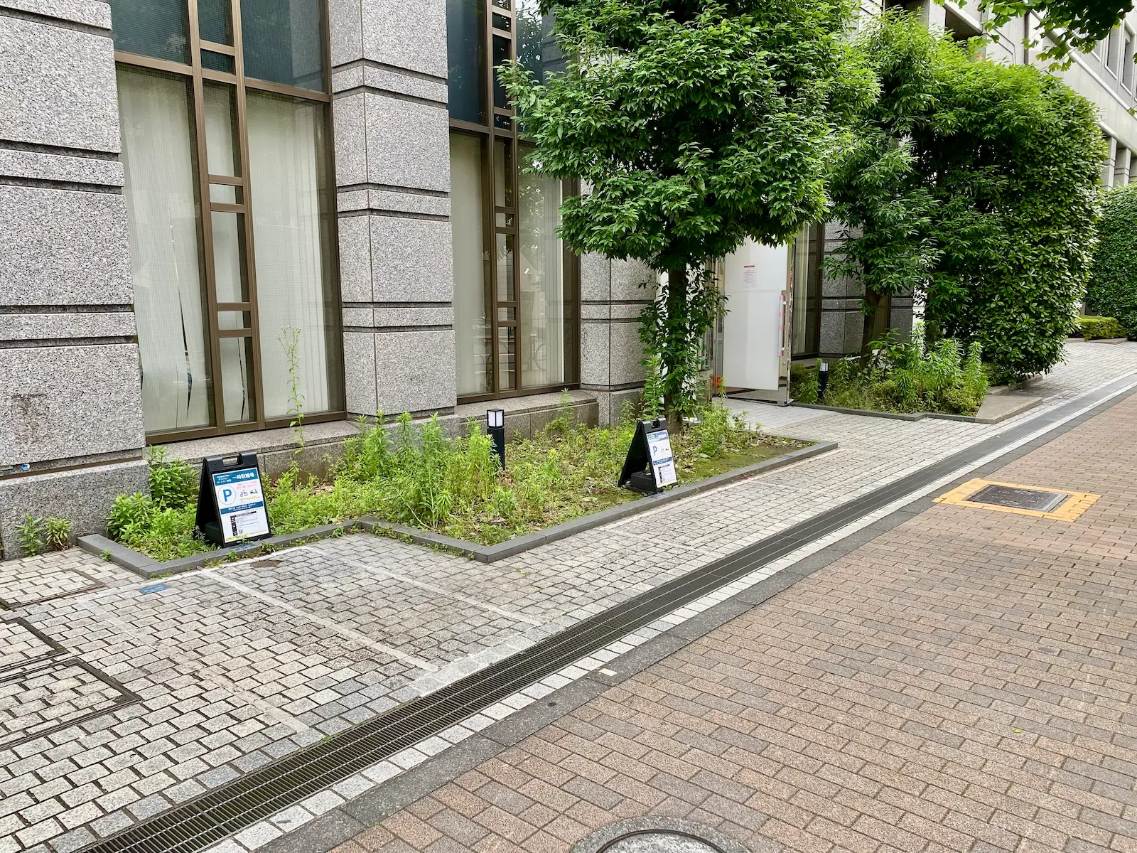入口横の専用駐輪スペース