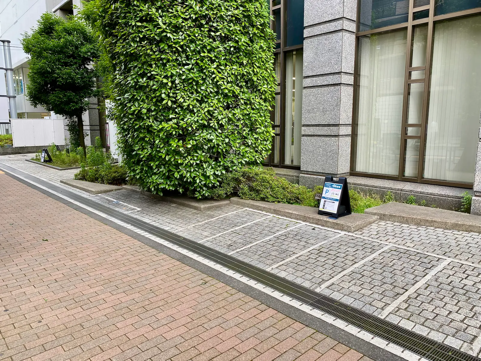 入口反対側の専用駐輪スペース